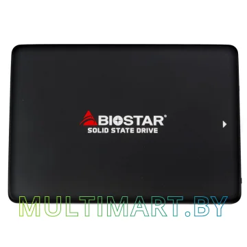 SSD диск BIOSTAR S100 120GB S100-120G
